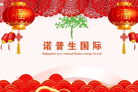ţ\(yn)ţD(zhun)C(j)ZףԸţţ壡