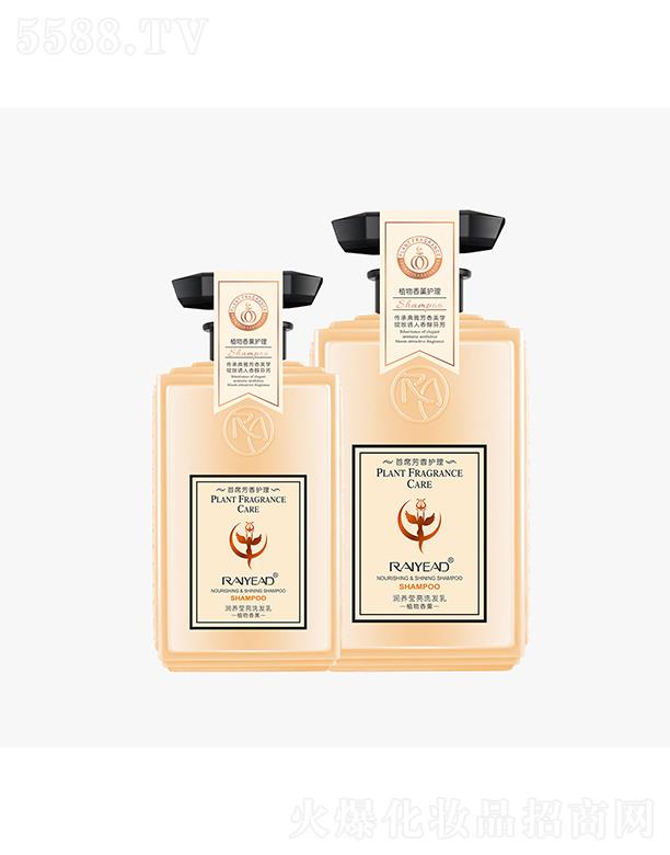 {(ln)z(rn)B(yng)ϴl(f) 500ml/800ml(rn)B(yng)g혻